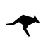 Roo code app icon